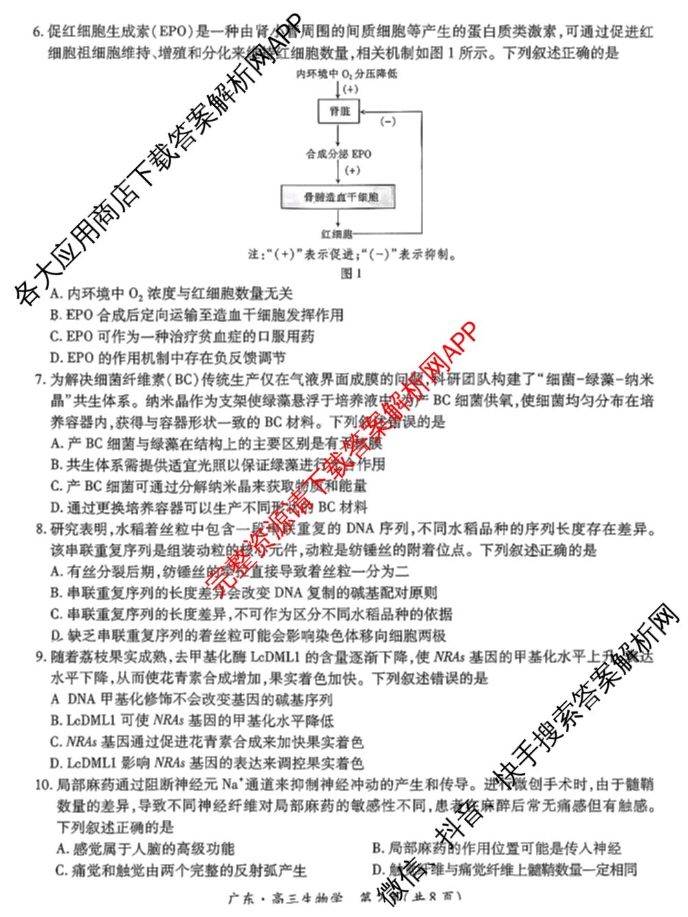 上进联考广东省2027届高三年级9月供题训练（含数学 日语 语文等）生物试题