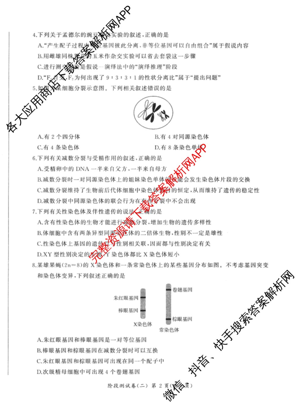 百师联盟2025-2026学年高一下学期阶段测试卷(二)2试卷及答案汇总: 含化学(75分钟)、化学(苏教版75min)、生物(90分钟)试卷解析生物试题