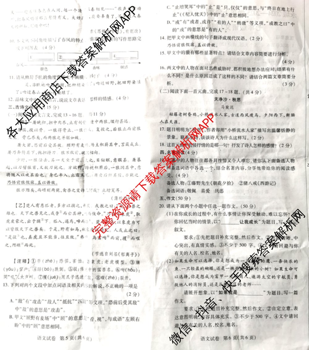  河南省永城2024—2025学年七年级上学期期末素养测评卷各科答案及试卷（含数学、历史、语文等7份）语文试题