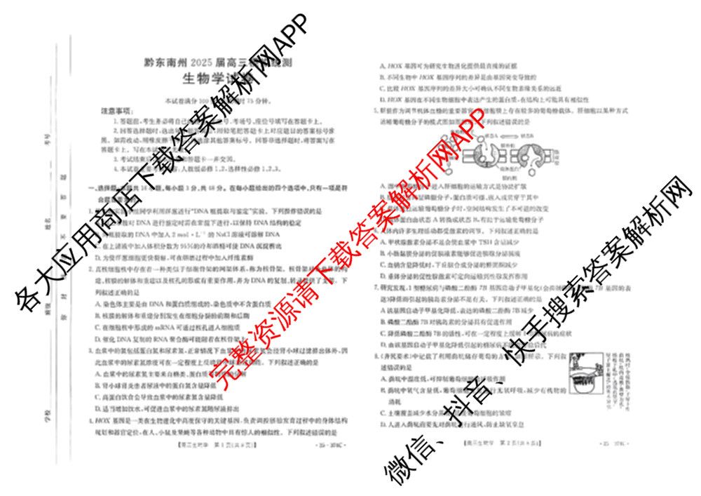 黔东南州2025届高三模拟统测(374C): 含政治 语文 英语试卷解析生物试题