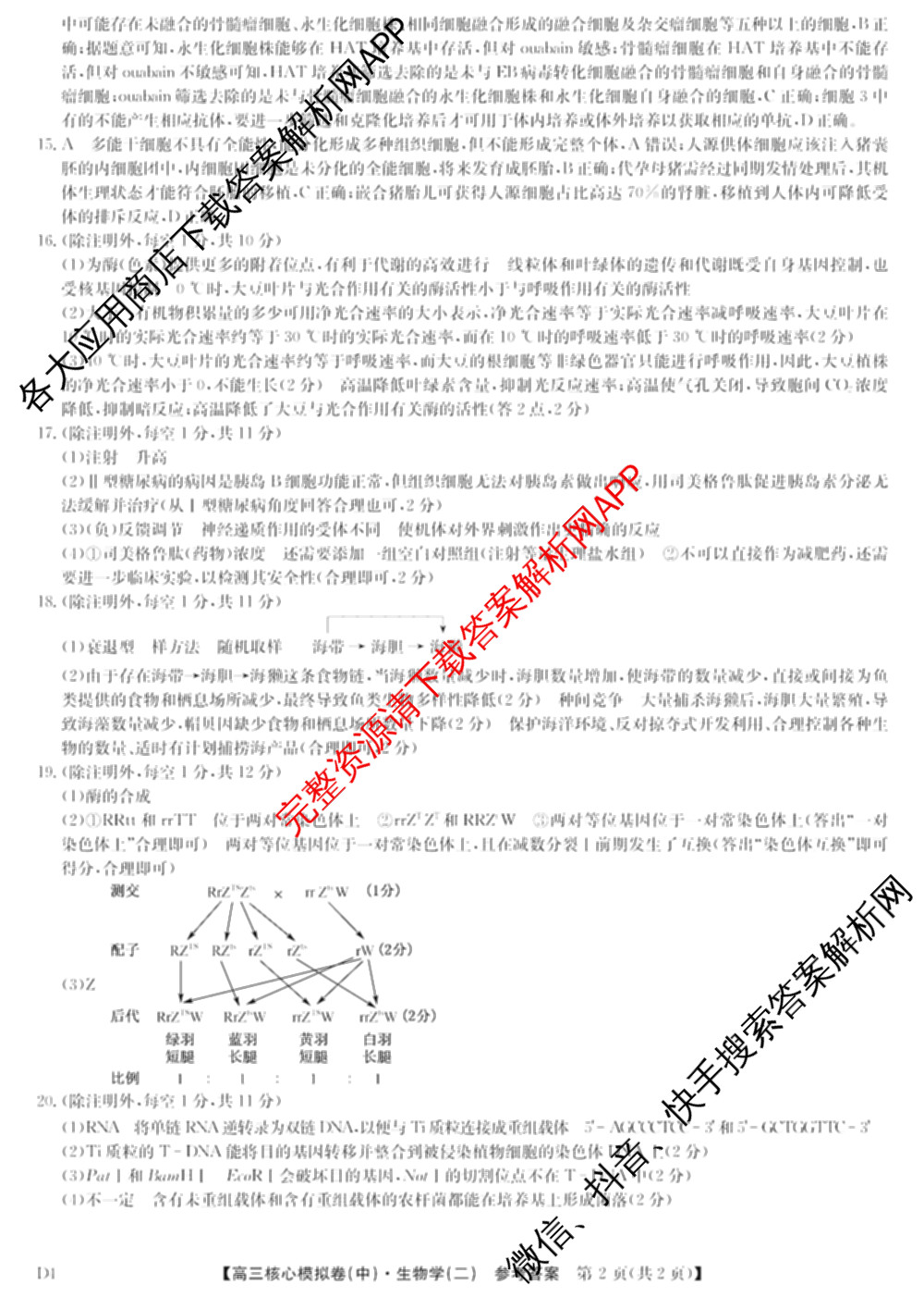 九师联盟2024~2025学年高三核心模拟卷(中)(二)2（含历史 地理(D4) 数学等29份）生物答案
