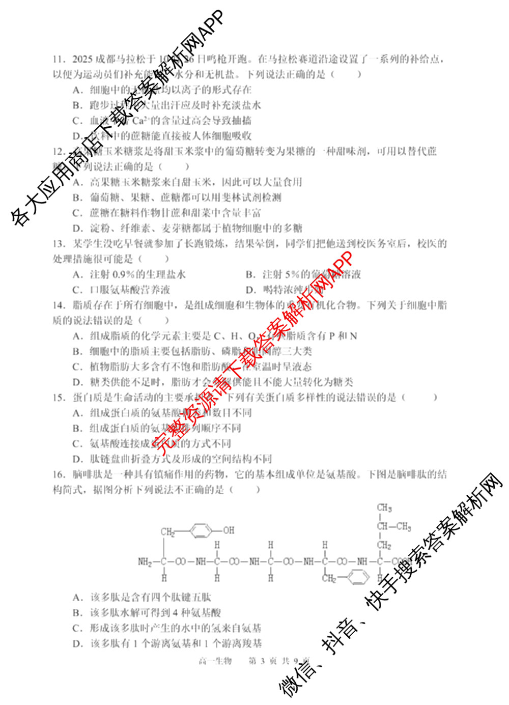四川省射洪中学高2025级高一上期第二次月考（含生物、英语、语文等9份）生物试题