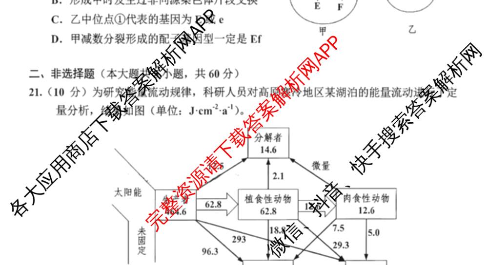 浙江省嘉兴市2026年高三基础测试(9月)试卷及答案汇总（含历史、化学、日语等）生物试题
