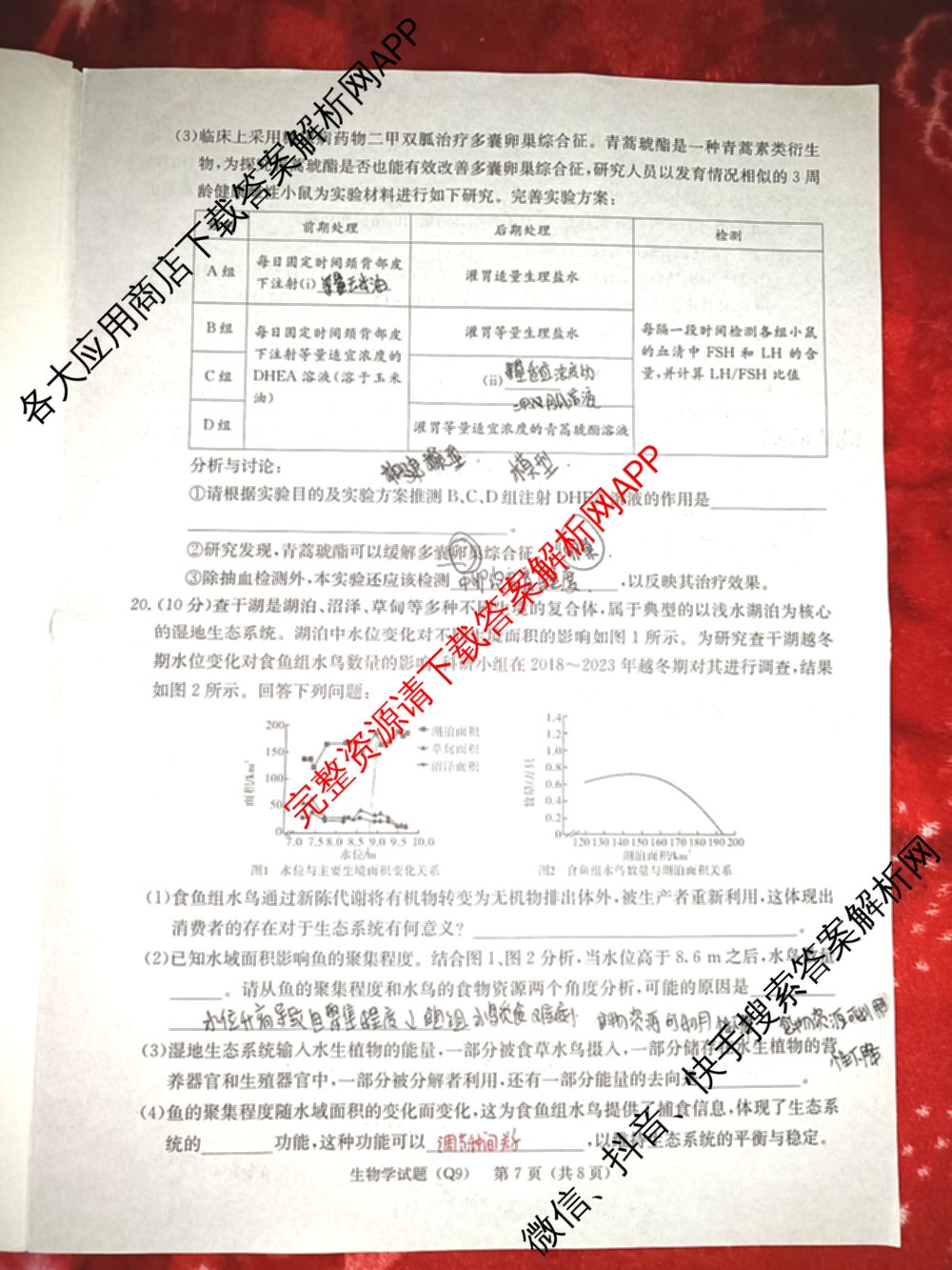 炎德英才大联考长沙市一中2026届高三月考试卷(九)(Q9)（含物理 数学 地理等）生物试题