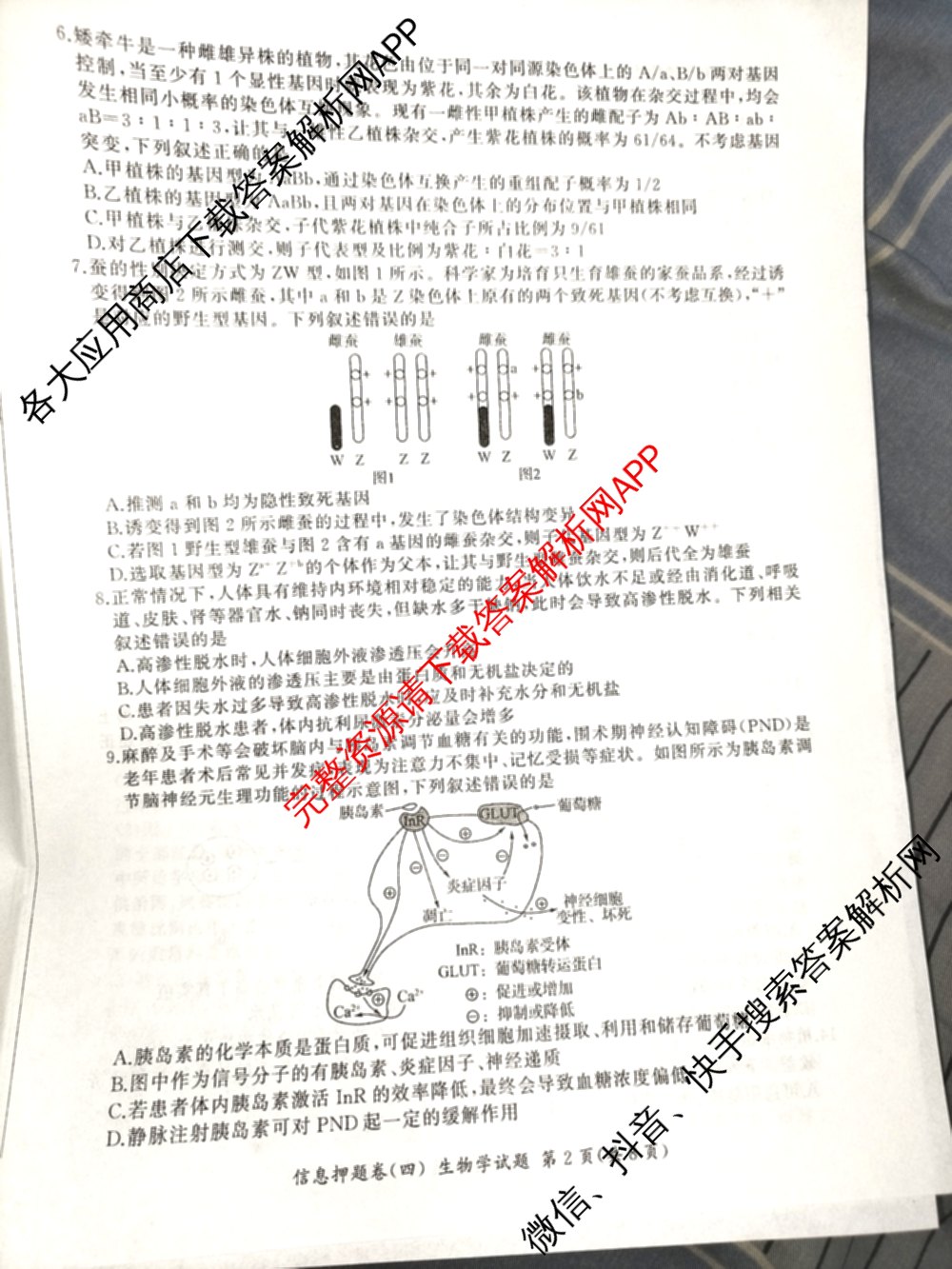 百师联盟2025届高三信息押题卷(四)4试卷及答案汇总（51科全）生物试题