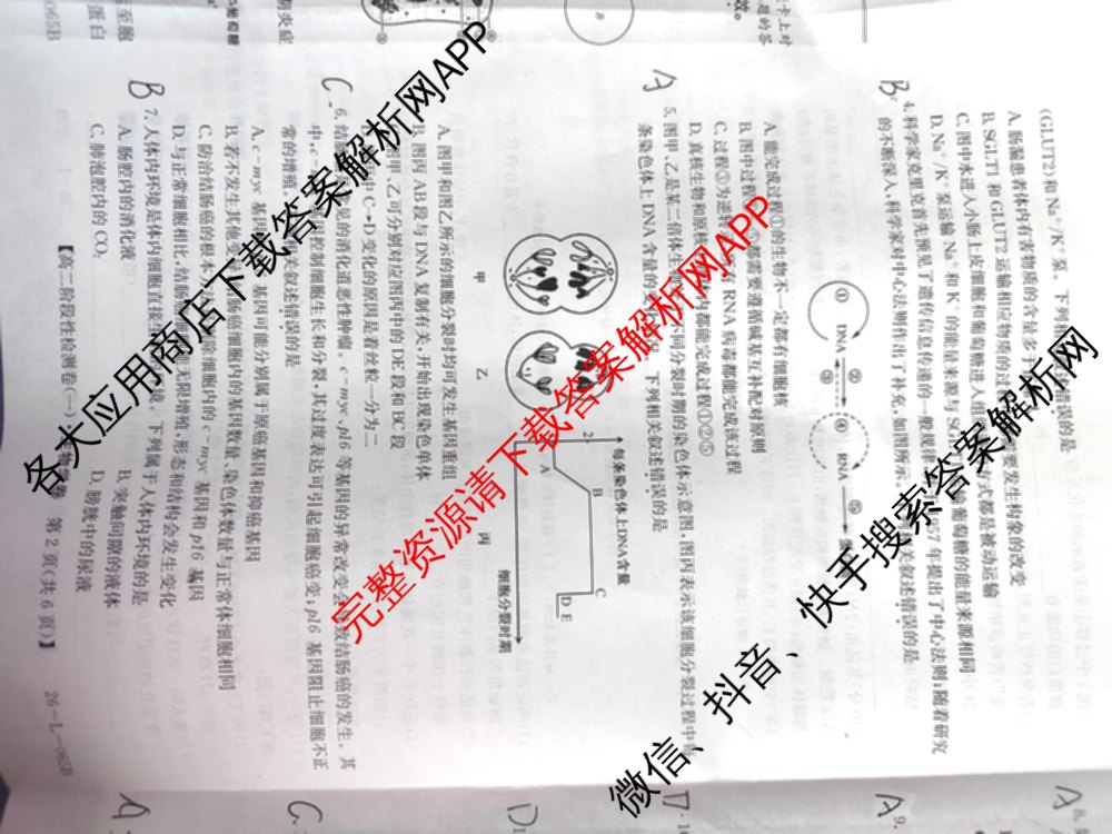陕西省2024级高二第一学期阶段性检测卷(一)(26-L-065B): 含生物 地理 物理试卷解析生物试题