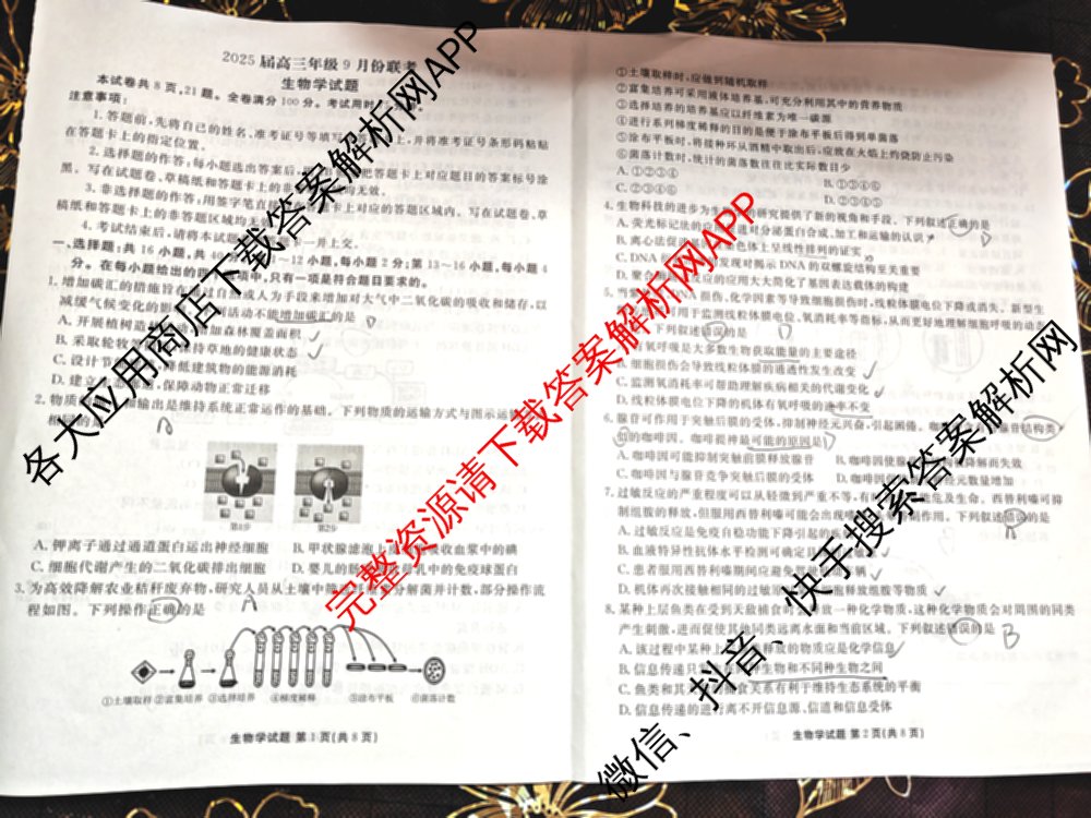 衡水金卷广东省2025届高三年级9月份联考各科答案及试卷（含英语 物理 历史等）生物试题