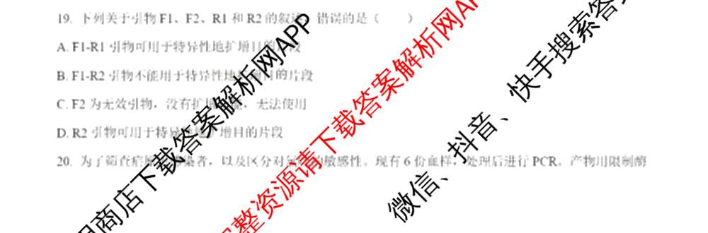 2024年高考真题(新高考)(已更新生物(山东卷) 数学(新课标II卷) 物理(河北卷)等108份)生物试题