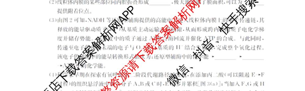 2025-2026河南省高一考场错题训练(二)各科答案及试卷（含化学 物理 生物等9份）生物试题