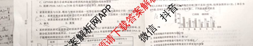天舟高考衡中同卷2026年普通高等学校招生全国统一考试模拟信息卷(二)2各科答案及试卷（34科全）生物试题