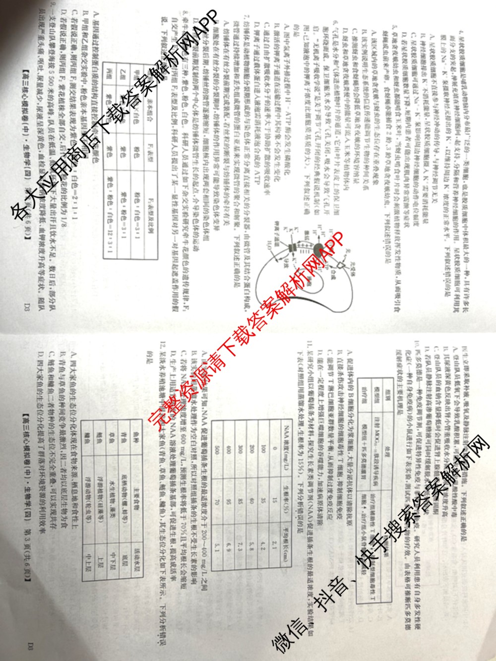 九师联盟2025~2026学年高三核心模拟卷(中)(四)试卷及答案汇总（36科全）生物试题