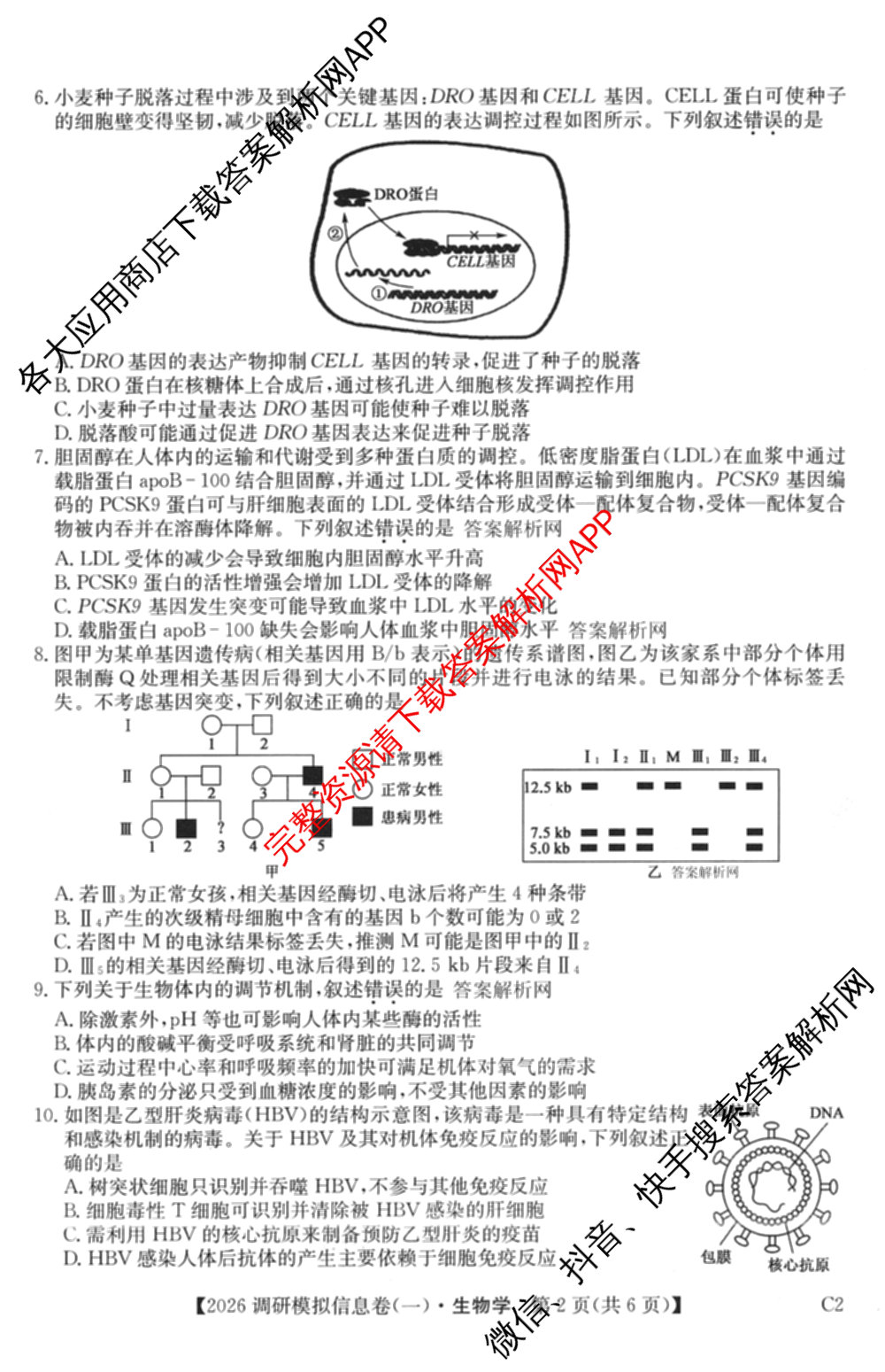 2026届全国高考调研模拟信息卷(一)1各科答案及试卷（含生物(C4) 生物(C2) 物理(C1)等）生物试题