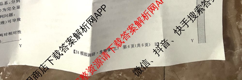 2024年全国高考模拟调研卷(三): 含物理(B Y) 文综(L) 文综(X Y)试卷解析生物试题