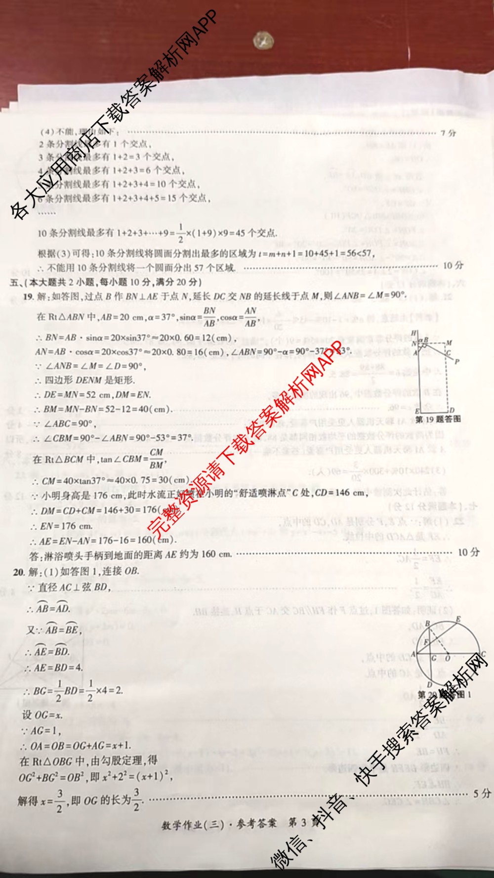 安徽省2026届九年级作业(三)各科答案及试卷(已更新历史、英语、道德与法治等7份)数学答案