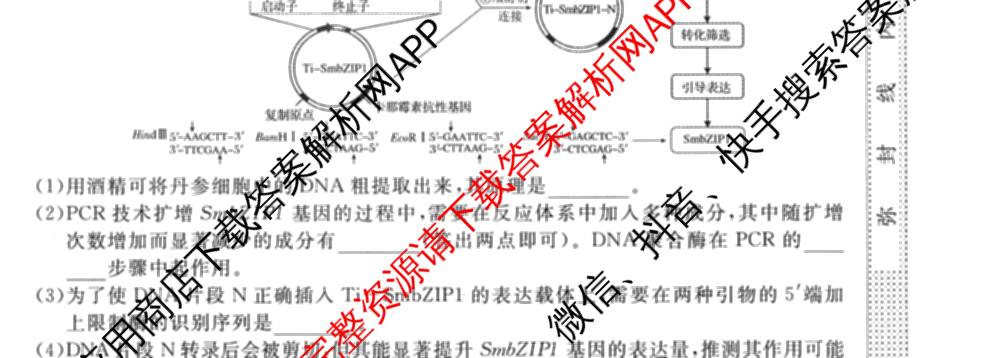 2027新高考单科模拟综合卷(一)试卷及答案汇总(已更新化学、生物、数学(A)等9份)生物试题