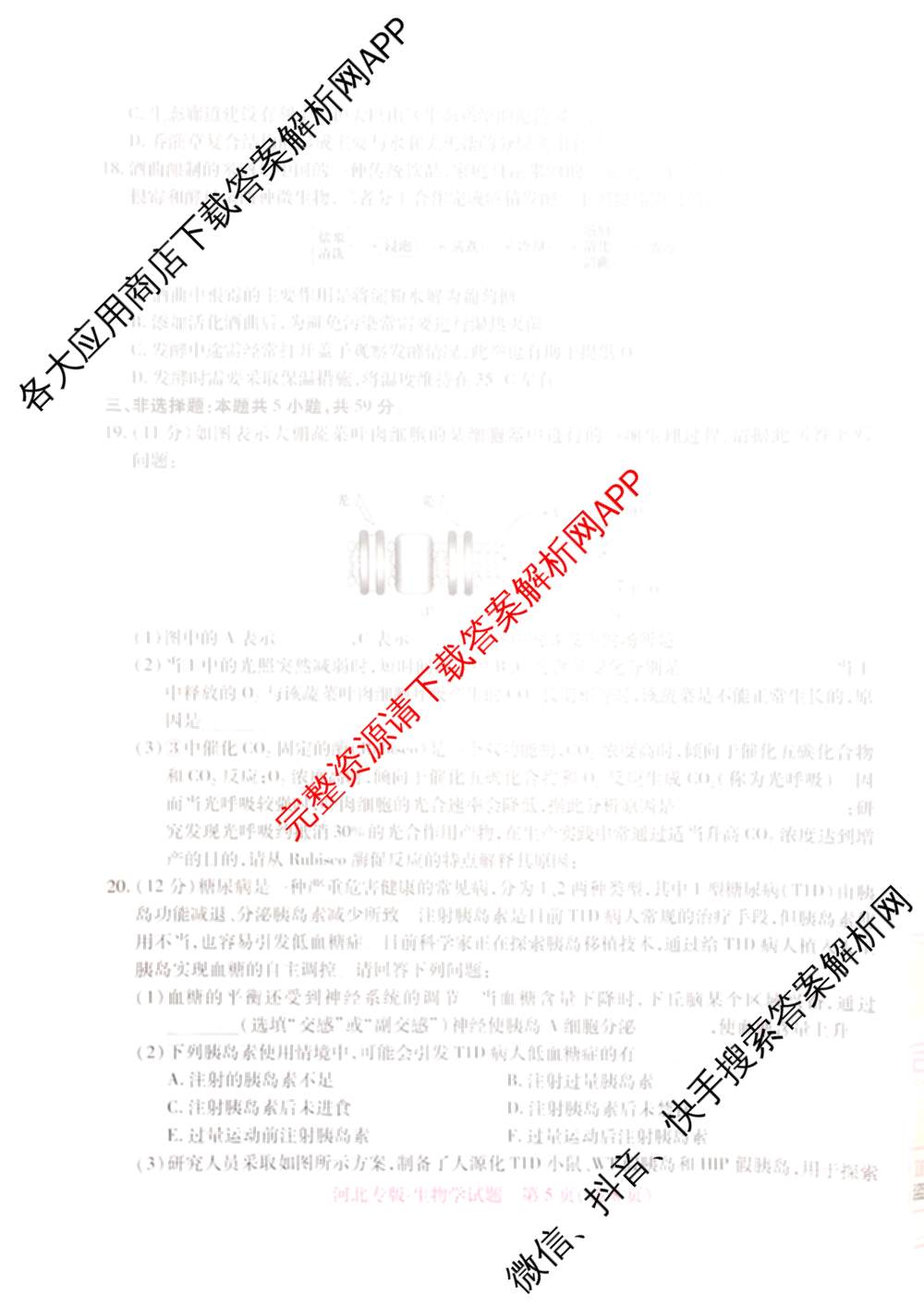 王后雄2024年普通高等学校招生全国统一考试预测卷各科答案及试卷（含语文(安徽专版)、政治(重庆专版)、历史(福建专版)等144份）生物试题