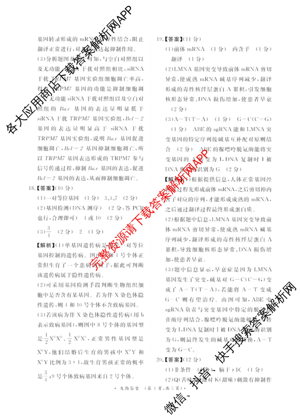 青桐鸣2025届普通高等学校招生全国统一考试青桐鸣大联考(高三)(11月)试卷及答案汇总（含语文、地理、物理等11份）生物答案