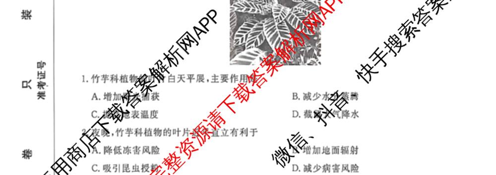 河北省衡水市枣强中学2026届高三下学期期中考试(HB)(无标题)（含地理、化学、数学等）地理试题