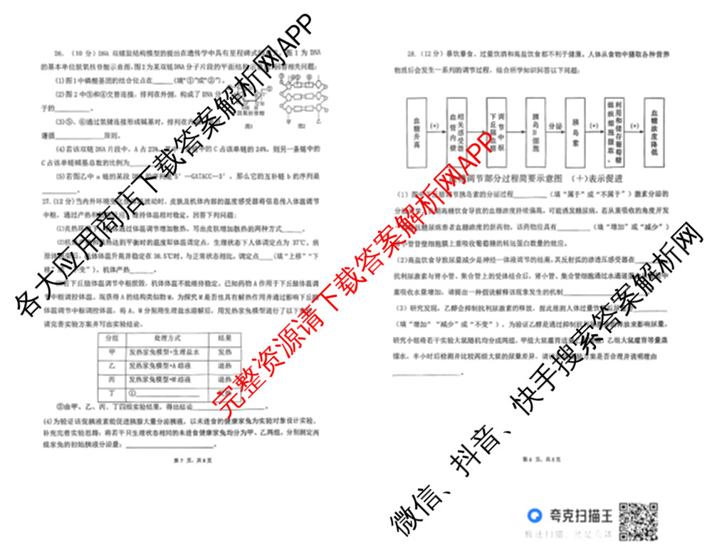 雅礼中学2025年下学期高二10月考试卷各科答案及试卷（9科全）生物试题