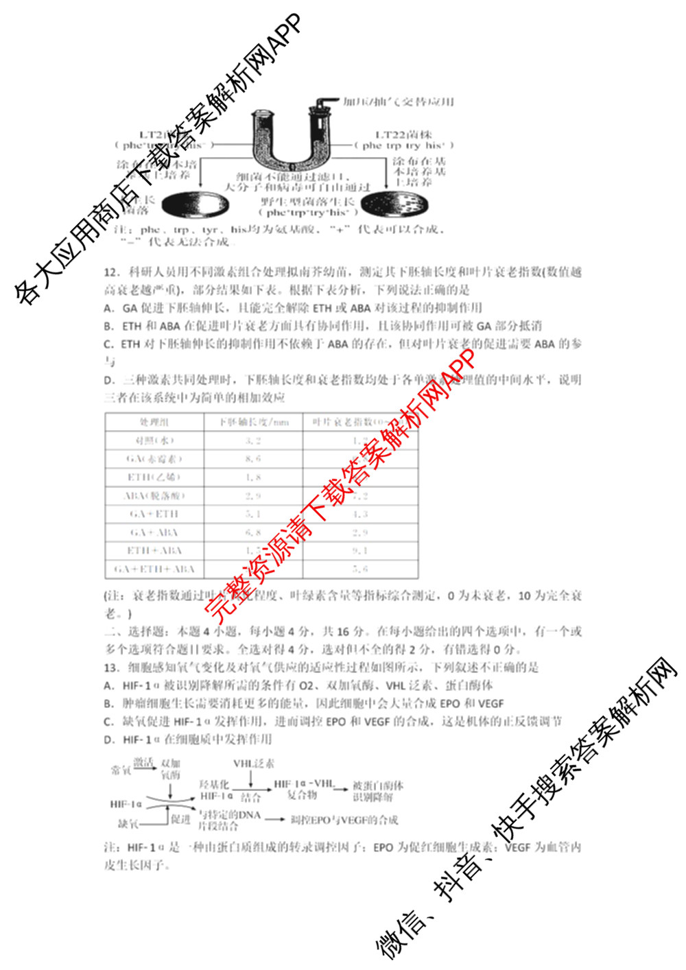 开卷文化2026普通高等学校招生统一考试冲刺卷(HN)(一)各科答案及试卷（含地理、生物、语文等）生物试题