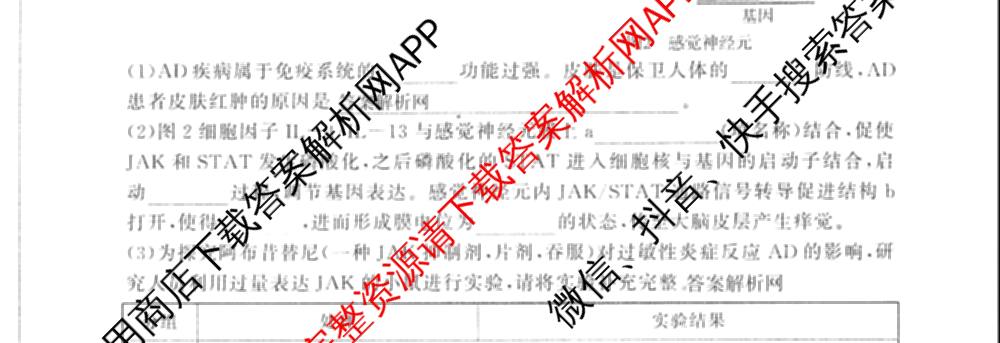 百师联盟2025届高三信息押题卷(四)4试卷及答案汇总（51科全）生物试题