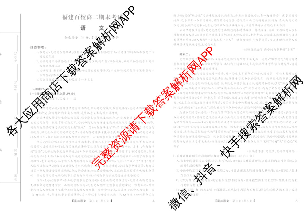 2024-2025学年福建百校高二期末考试(7月)各科答案及试卷（含化学(A)、数学(A)、物理(A)等）语文试题