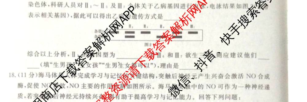 2026普通高等学校招生全国统一考试冲刺押题卷(五)5试卷及答案汇总: 含物理、数学(B)、生物(AC)试卷解析生物试题