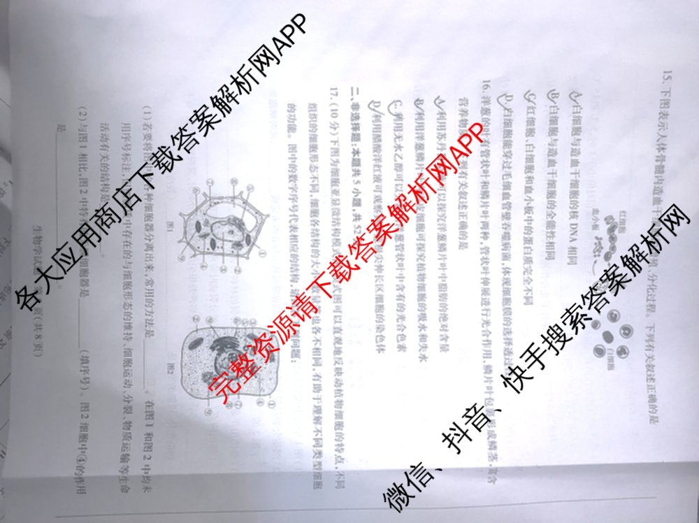 周口市普通高中2024-2025学年高一年级期末(上)联合考试试卷及答案汇总（含物理 政治 地理等9份）生物试题
