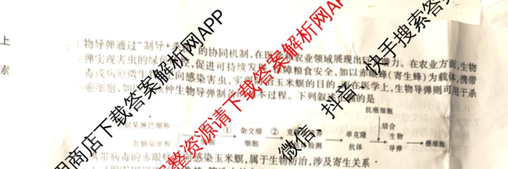 2026届智慧上进名校学术联盟高考模拟信息卷&冲刺卷&预测卷(一)1(已更新化学(I-26-1) 历史(26-1) 生物(II)等49份)生物试题