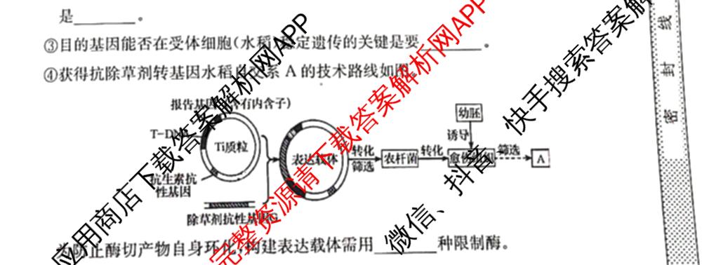 2024年全国高考模拟调研卷(三): 含物理(B Y) 文综(L) 文综(X Y)试卷解析生物试题