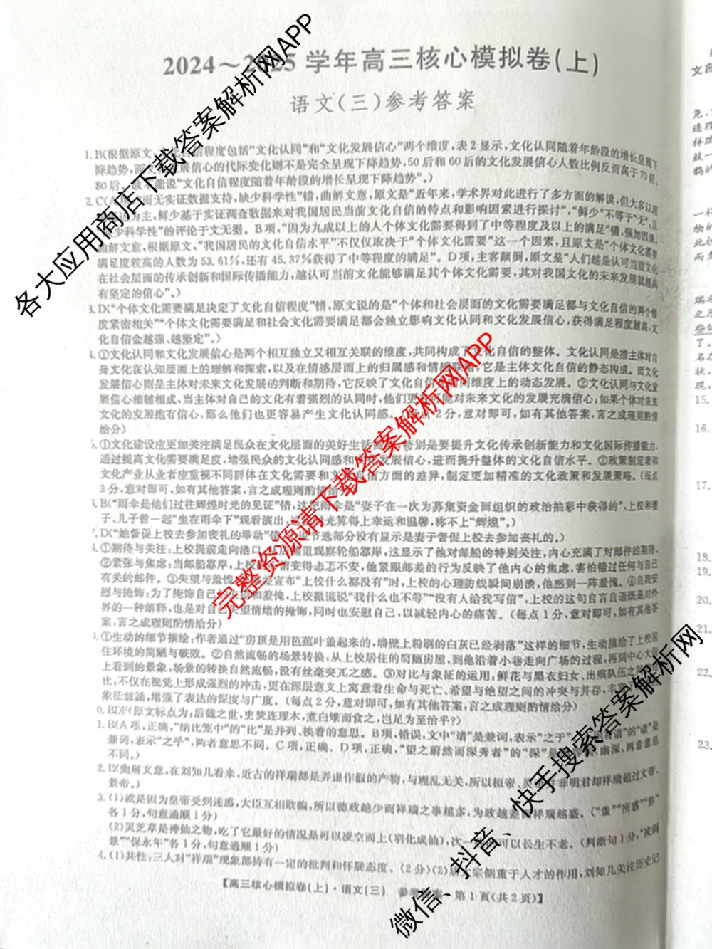 九师联盟2024~2025学年高三核心模拟卷(上)(三)3试卷及答案汇总: 含政治(A)、物理(HF)、语文试卷解析语文答案