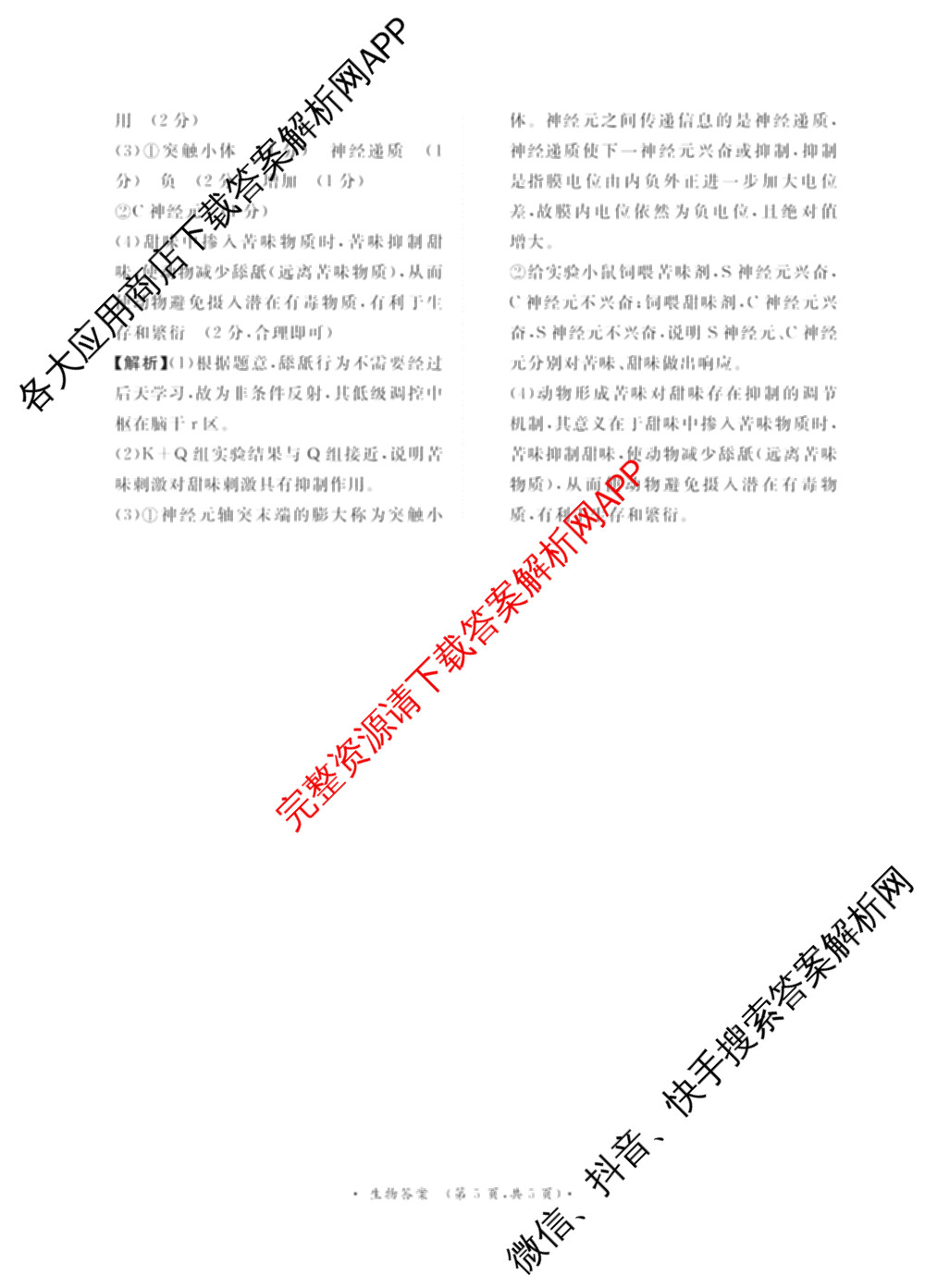 青桐鸣2025届普通高等学校招生全国统一考试青桐鸣大联考(高三)(11月)试卷及答案汇总（含语文、地理、物理等11份）生物答案