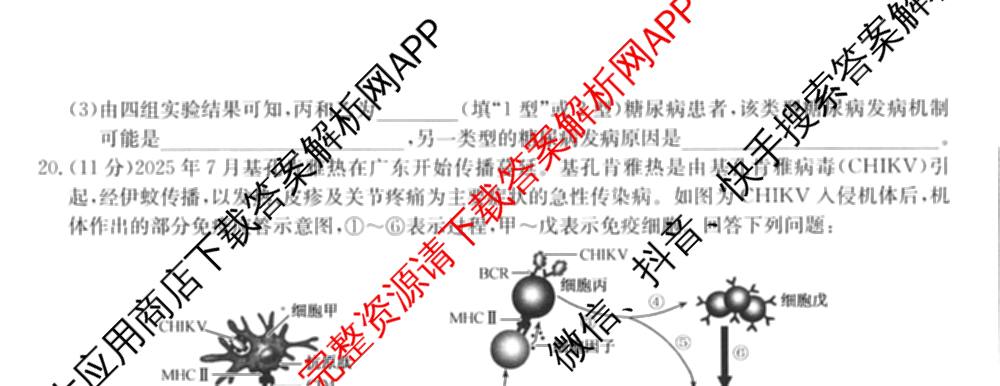全国名校大联考2025~2026学年高三第三次联考(月考)试卷及答案汇总（12科全）生物试题