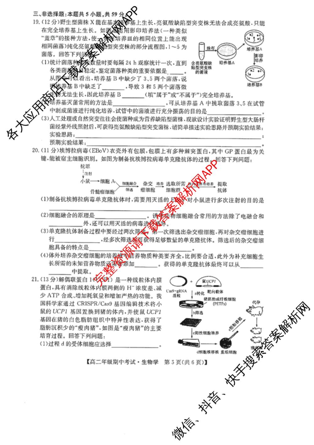 河北省2024~2025学年度第二学期高二年级期中考试（含化学 政治 英语等9份）生物试题
