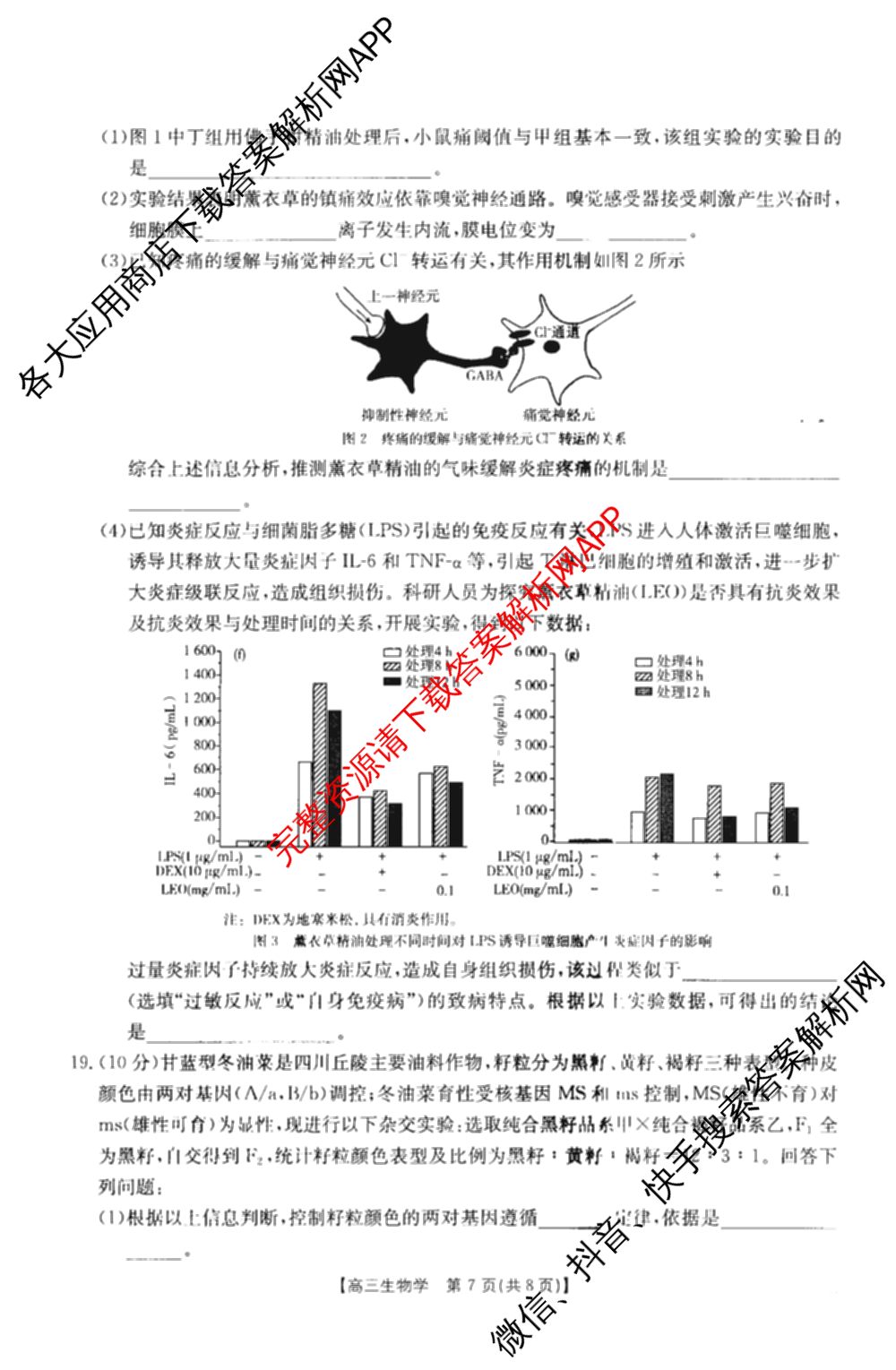 四川省2027届高三学情检测(9.2)试卷及答案汇总（10科全）生物试题