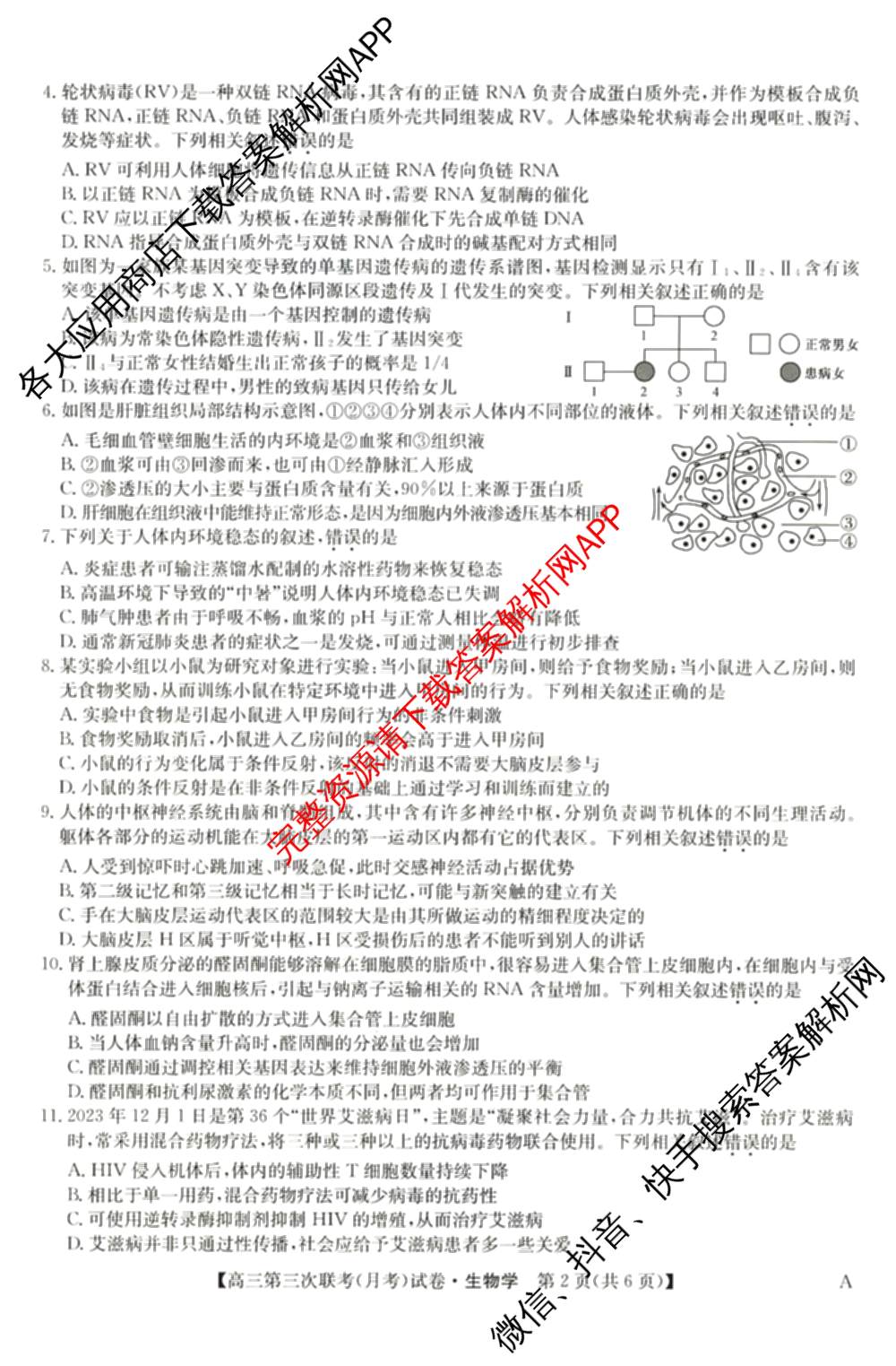 全国名校大联考2024~2025学年高三第三次联考(月考)试卷及答案汇总: 含生物(B)、物理(CS)、化学(C)试卷解析生物试题