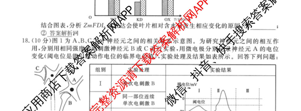 2027新高考单科模拟综合卷(六)（含政治 生物 历史等9份）生物试题