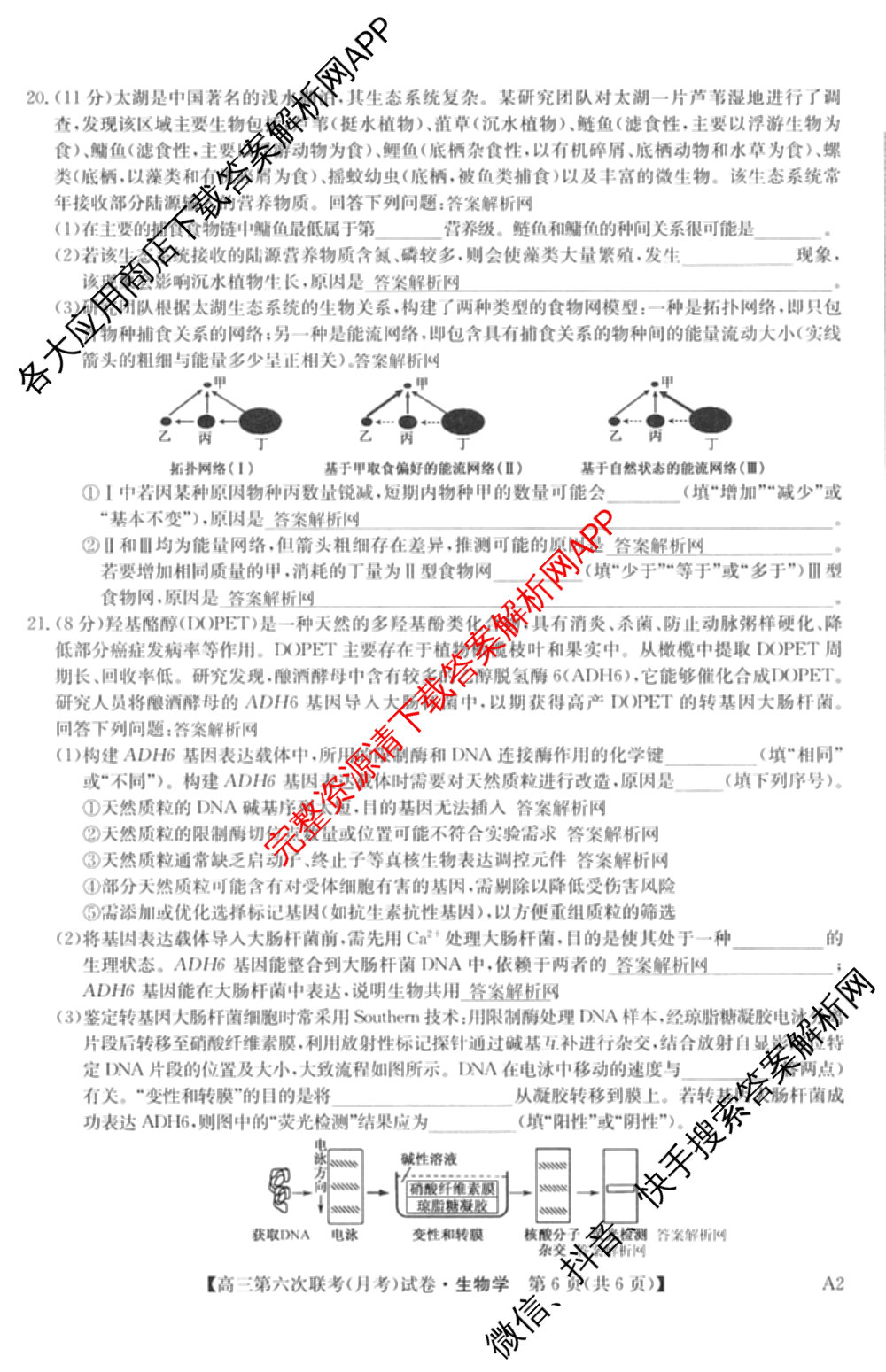 全国名校大联考2025~2026学年高三第六次联考(月考)试卷及答案汇总(已更新数学、化学(A2)、物理(A1)等9份)生物试题