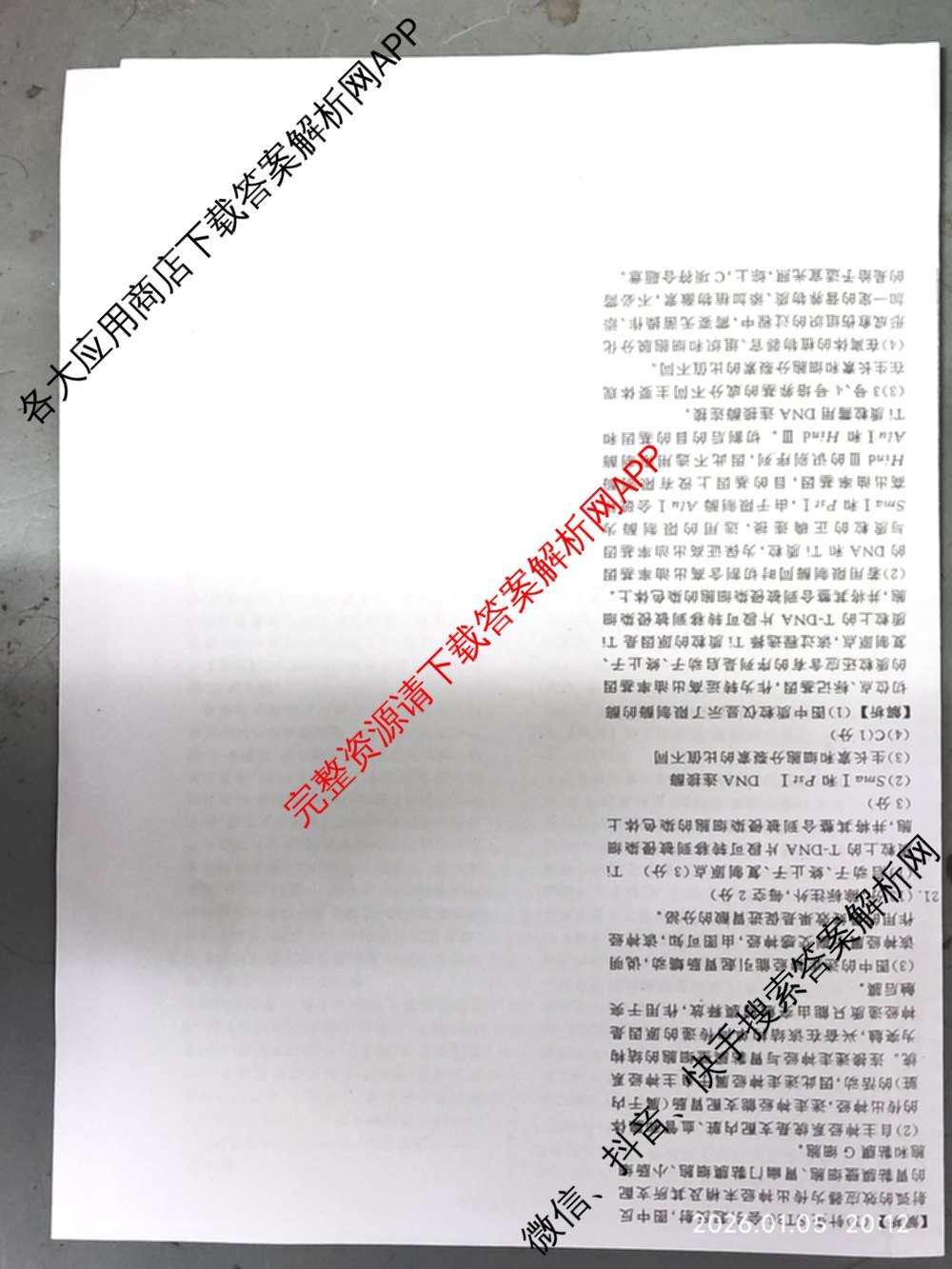 衡水名师卷高考模拟调研卷 2026年普通高等学校招生全国统一考试模拟试题(二)2（含政治 英语(YH) 英语(空心菱形)等）生物答案