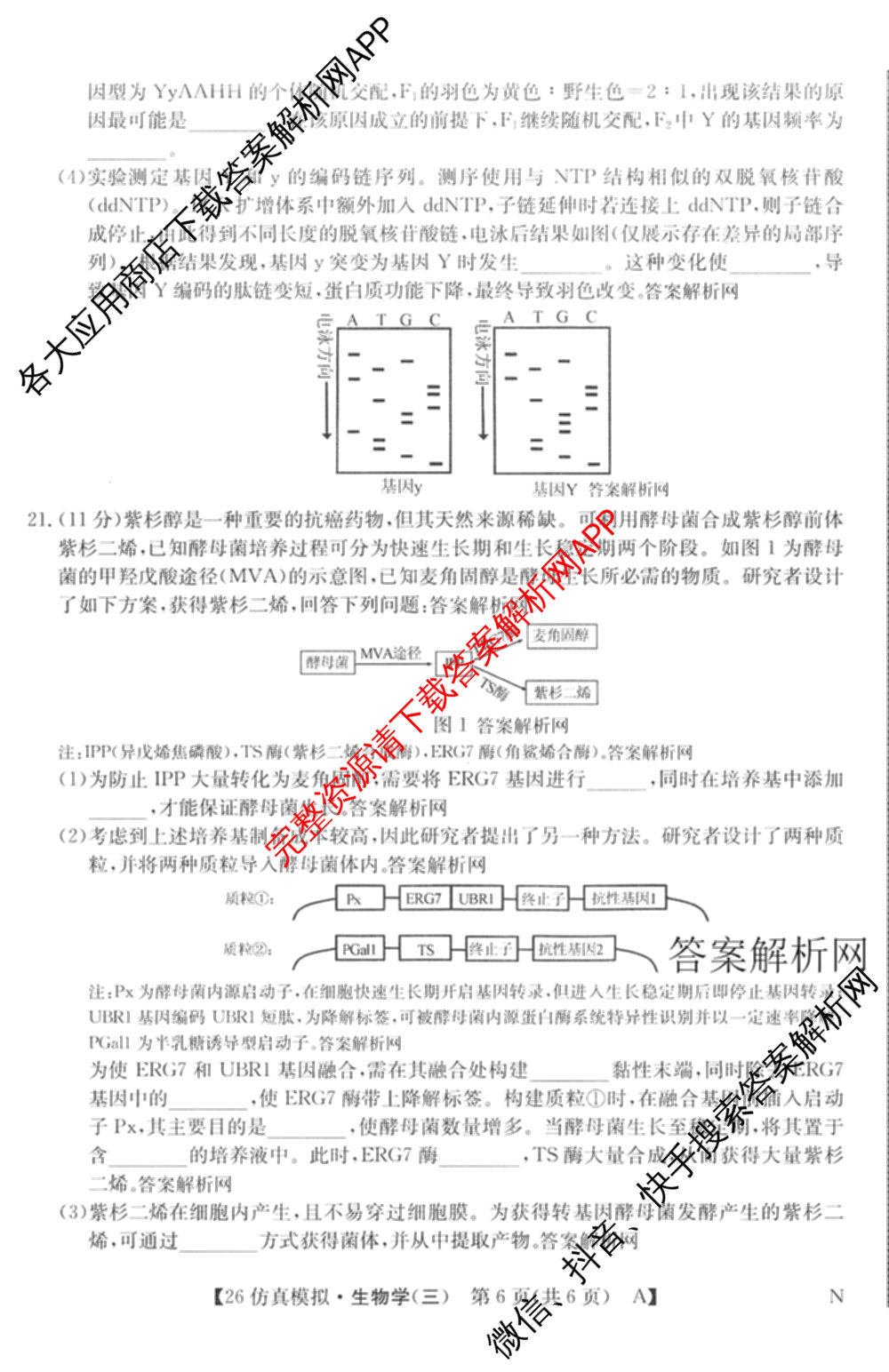 2026年全国高考仿真模拟卷(三)3试卷及答案汇总(已更新物理(AH N) 生物(A N) 数学(N)等14份)生物试题