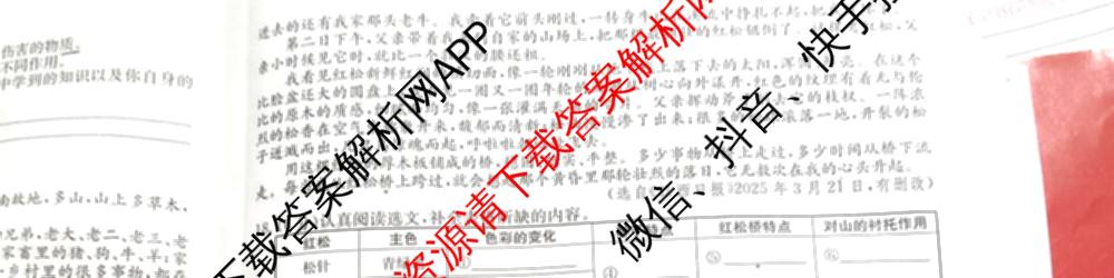 江西省2025年初中学业水考试冲刺(一)（7科全）语文试题