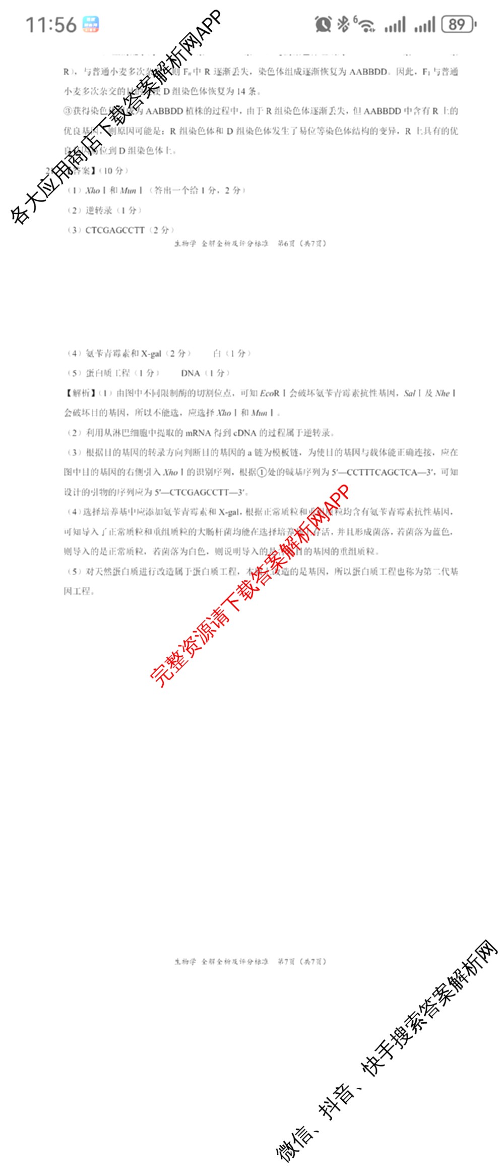 学科网2025届高三4月大联考试卷及答案汇总（含物理(新高考卷C) 文综(新课标卷) 英语(新课标卷A)等）生物答案