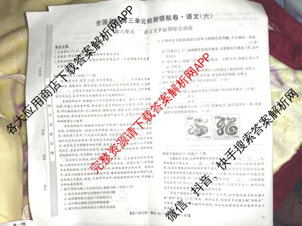 2026届全国名校高三单元检测领航卷 (六)6各科答案及试卷（含语文 物理(A) 数学等）语文试题