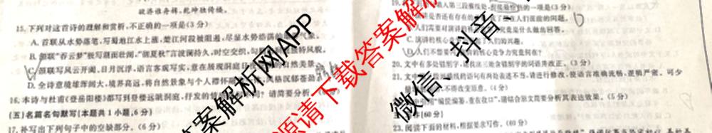 陕西省2028届高一第二学期期末质量检测(6464A)各科答案及试卷（含地理、政治、数学等9份）语文试题