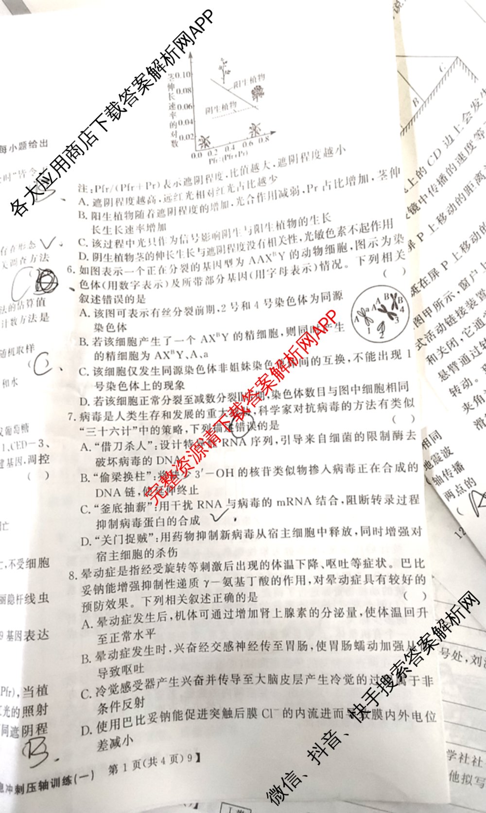 2026高考总复课堂测评信息冲刺压轴训练(一)1试卷及答案汇总（含化学(3)、历史(2)、物理(8)等21份）生物试题