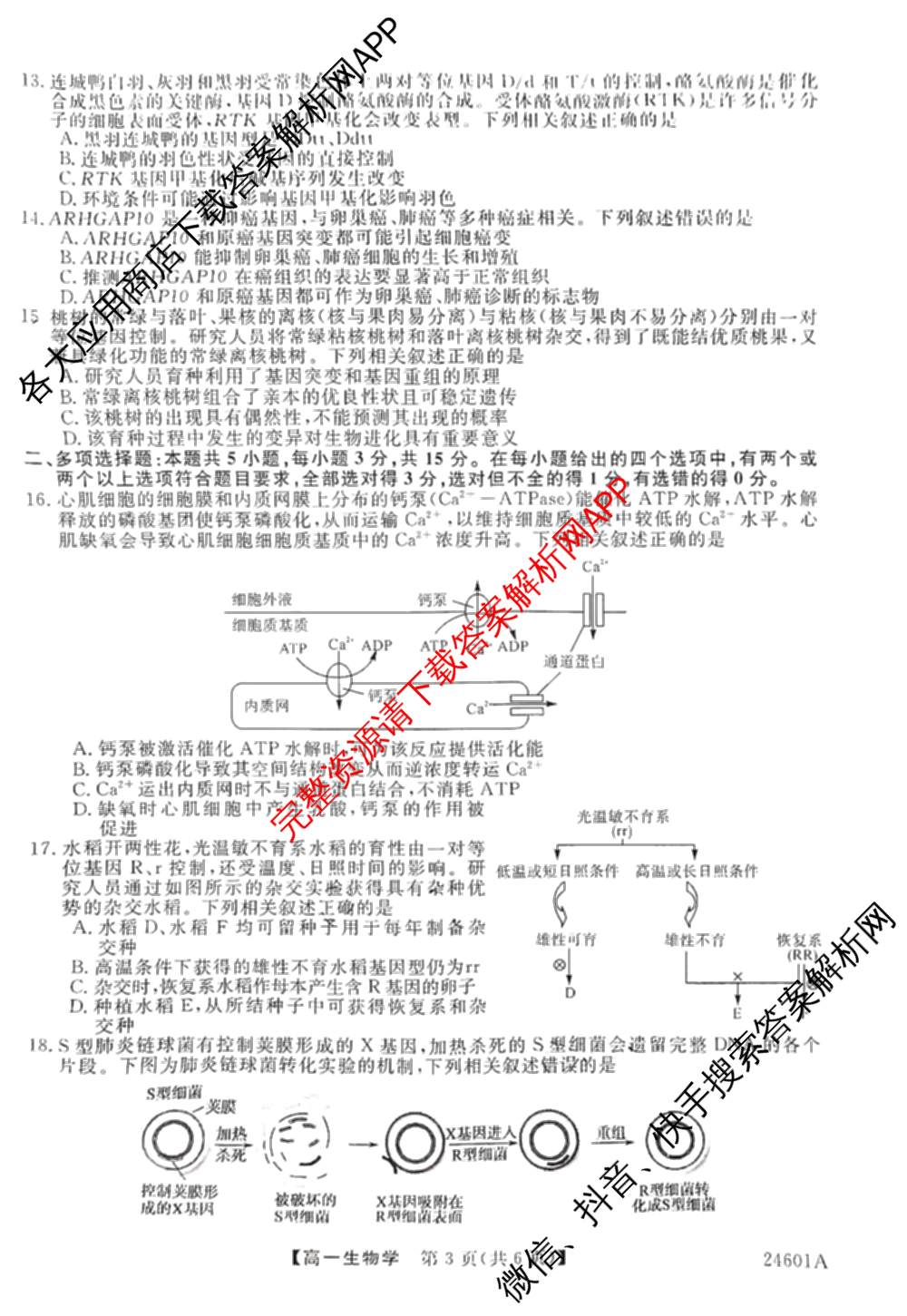 金科大联考2023-2024学年高一5月质量检测卷(24601A)(已更新英语、语文、生物等10份)生物试题