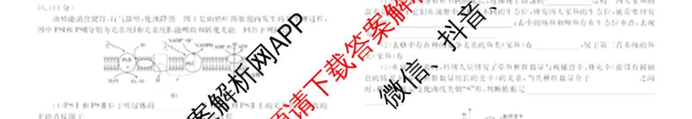 衡水金卷先享题2026年学科素养评价练(五)5各科答案及试卷（含政治(AH)【安徽四川甘肃专版】 物理(HN)【湖南专版】 生物(山东专版)等）生物试题