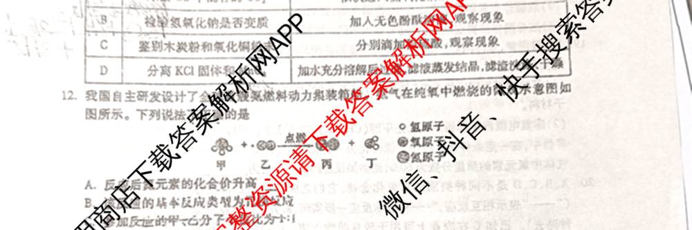 黑白卷河南专版2025年普通高等学校招生全国统一考试黑卷（含化学 物理 生物等9份）化学试题