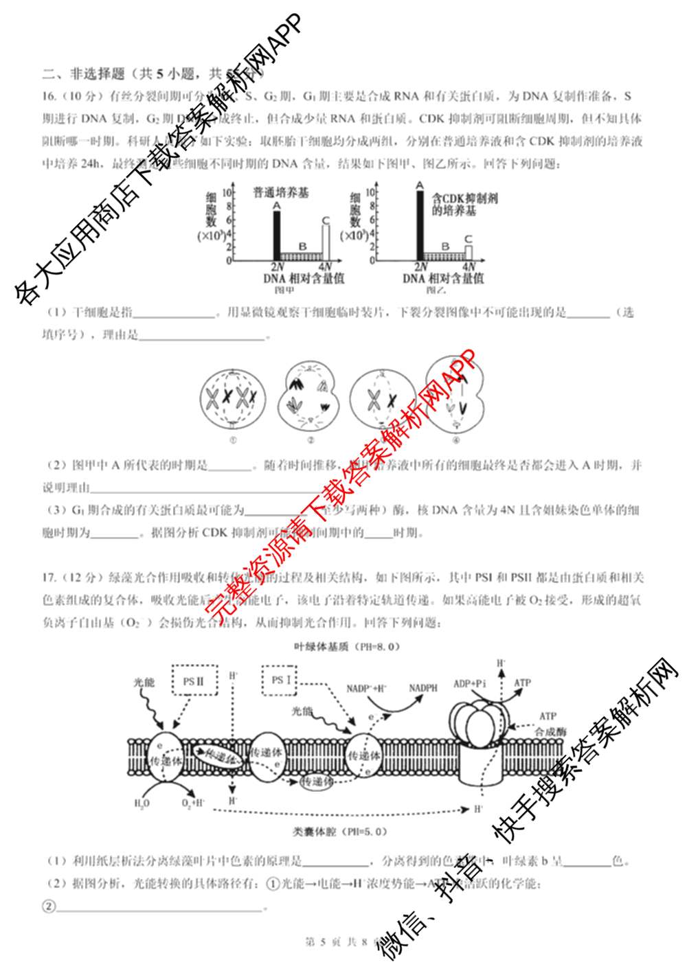 成都石室中学2025-2026学年度上期高2026届十月月考高三各科答案及试卷（含政治 生物 语文等）生物试题