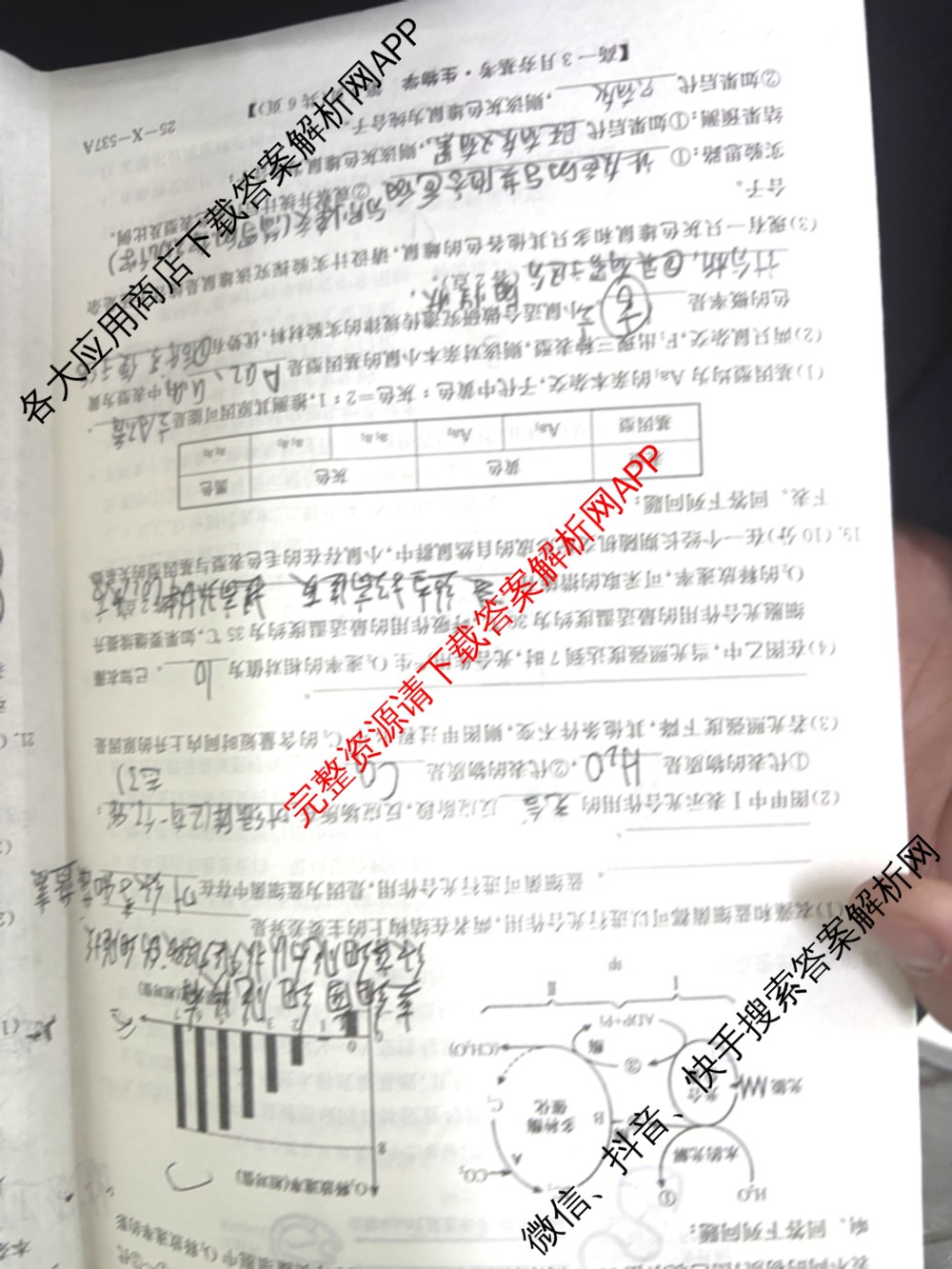 山西省2024~2025学年第二学期高一3月夯基卷(25-X-537A)（含英语、物理、数学(A卷)等）生物试题